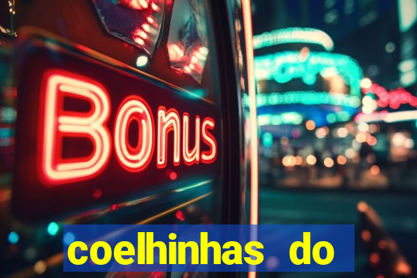 coelhinhas do brasil jp